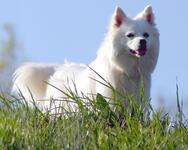 https://imgs.plurk.com/Qwt/yLV/TUi5mL58hDZRGQbLcBuRK5v8yyY_lg.jpg