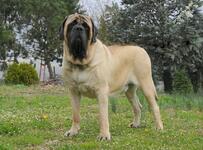 https://imgs.plurk.com/Qwu/AZs/4rEpoESWGIvBJGmIZlxxwJS6tUH_lg.jpg
