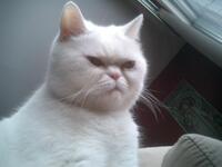 https://imgs.plurk.com/Qwv/bZP/lF3oMCVw8xjaHS0Uny05xEkxYIQ_lg.jpg