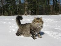 https://imgs.plurk.com/Qww/Vmd/3gTG10AbpgxY5HlKC9flLfOO19j_lg.jpg