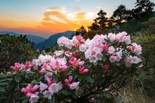 https://imgs.plurk.com/Qww/WLw/PJs9yjSUgMrKCFlknTig5Q2vDjD_lg.jpg