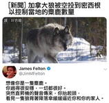 https://imgs.plurk.com/Qww/wMA/OoXb82SwNJPwAqep9IFsWOCXU9m_lg.jpg