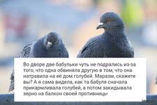 https://imgs.plurk.com/Qwx/GKc/uWfI3W1JV8WPrup8lwZ3ovHRMuX_lg.jpg
