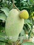 https://imgs.plurk.com/Qy5/rid/dZTASv1W8UUvtws2Y6PO16uhWWO_lg.jpg