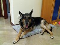 https://imgs.plurk.com/Qy5/yna/M74npgA3qXEkyR7CClqsoGX0Nvy_lg.jpg