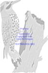 https://imgs.plurk.com/Qy6/5Sj/p6wteDAxv97oFEsibBLe8UtQl6i_lg.png