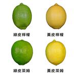 https://imgs.plurk.com/Qy6/pKD/PkOq3MFKLYJvdUmV2ItA7580Q8N_lg.jpg