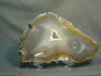 https://imgs.plurk.com/Qy7/801/Ul5zjZA9LXNGYRDCGG67KgWCbOH_lg.jpg