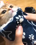 https://imgs.plurk.com/Qy7/BiJ/YzFNdHoJsybdTHGC5aOmuYffwrd_lg.jpg