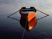 https://imgs.plurk.com/Qy7/DG0/KwgvtEPQsvTyJY9fvGPa3L8zzq6_lg.jpg