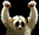 https://imgs.plurk.com/Qy7/MuF/tIywaEsF4F5ApchIJU3R7QsXlX8_lg.png