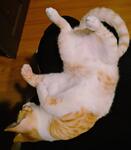 https://imgs.plurk.com/Qy7/sRq/rwxMB2fFwr6NbcAZCB9YpeHrc0I_lg.jpg