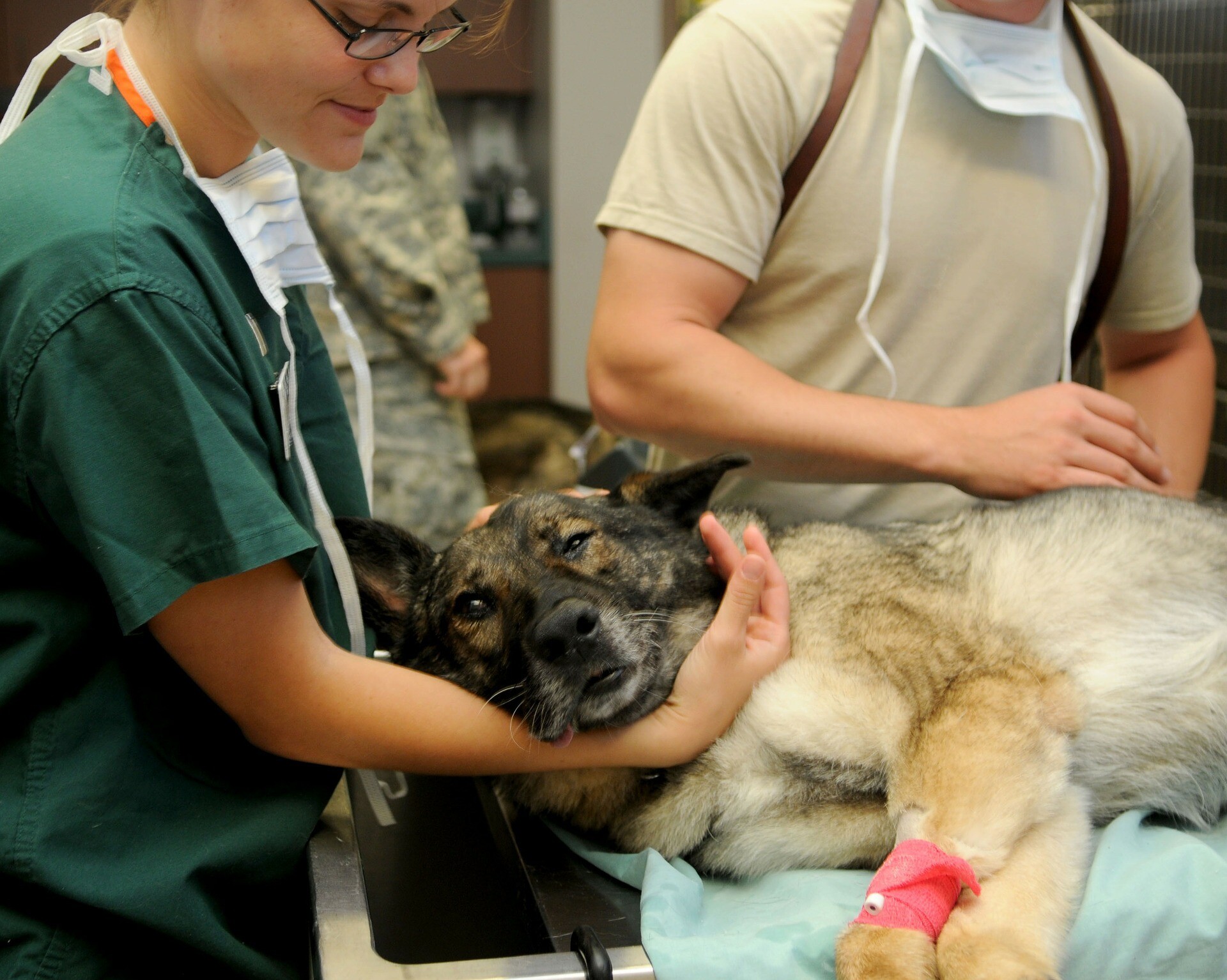 kevsbest 5 Best Veterinarians in Fort Worth 磊 5 Best Veterinarians