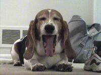 https://imgs.plurk.com/Qyb/PzK/otP9cJ7PCcD5JnQDFq4d5svODgG_lg.jpg