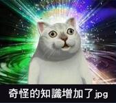 https://imgs.plurk.com/Qyb/YoX/1kU1r2HEdG12W7TlzApwVhLosfR_lg.jpg