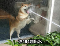 https://imgs.plurk.com/Qyc/f4V/ZyMP7JPWPiDugqOwthf6lKF0yBK_lg.jpg