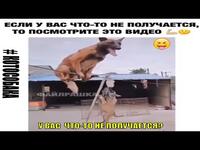 https://imgs.plurk.com/Qye/ADF/sP4ShF0Az9EMFme88YMmKXosnWg_lg.jpg