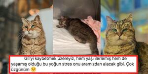 https://imgs.plurk.com/Qye/Ac4/iqt79F8dEUn49NSnh7TGqMIMG2g_lg.jpg
