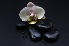 https://imgs.plurk.com/Qye/K5r/Fd0iPWuuOfVGKfkVXxnbZnKrsfu_lg.jpg