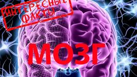https://imgs.plurk.com/Qye/Ro8/ifmvXB6gjol2ZB6paRLxhXLvcD8_lg.jpg