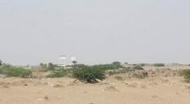 https://imgs.plurk.com/Qye/qau/WhzSDULaNKY33NNzGgmqtPt5WVT_lg.jpg