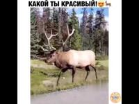 https://imgs.plurk.com/Qye/wfL/wQcCfFMmzBlcTeHNWwBTLQO50dr_lg.jpg