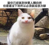 https://imgs.plurk.com/Qyf/pCx/hlL516kgLmctasyqNEKWdCQdqxA_lg.jpg