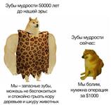 https://imgs.plurk.com/Qyf/upZ/itde2W9XwBpB92rg5Ubh3EWfNjs_lg.jpg