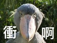 https://imgs.plurk.com/Qyf/y71/TDl4p7t93Qn4HrEMa3X2bpUD9wl_lg.jpg