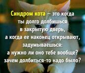 https://imgs.plurk.com/QzH/fyw/rqkBtcnpzWIxHQtyGKacRicN29p_lg.jpg