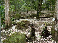 https://imgs.plurk.com/QzJ/XxO/PAbjQy0rHgF0pXOjjWQdmVtSXEj_lg.jpg