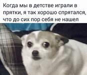 https://imgs.plurk.com/QzK/HYr/mEvvo8HHGQI4oQISKOcIssD02Wt_lg.jpg