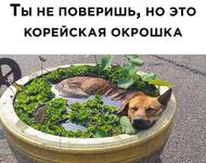 https://imgs.plurk.com/QzL/i0S/gxN81fJ5izLO0FGM6tGwvtUD4YY_lg.jpg