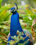 https://imgs.plurk.com/QzM/2v2/vR7OoBNeBaeJbqPbmy9eqYg8Ldy_lg.jpg