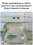 https://imgs.plurk.com/QzM/BxI/4xmDcRVt4PWmBCYCe6dAIMahPTH_lg.jpg