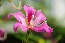 https://imgs.plurk.com/QzN/pZR/04y3HGeMSZQxdMZIBPSUq4UWCqm_lg.jpg