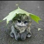 https://imgs.plurk.com/QzN/vvE/s4nLgaTZvP1nU13p45iSvQS4o8q_lg.jpg