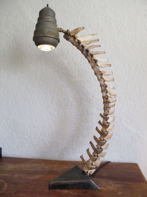 spinelamp