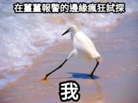 https://imgs.plurk.com/QzP/rTt/uxq9fN4WvQmOCPZhtAOyvSGkNAV_lg.png