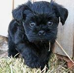 https://imgs.plurk.com/QzQ/vrU/23Lnf2Wm5LGTqriExbHQTYXR5HT_lg.jpg