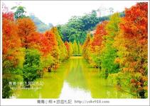https://imgs.plurk.com/QzR/8PU/rVIcVC9RvkgmoZEd97sP68qIh7d_lg.jpg