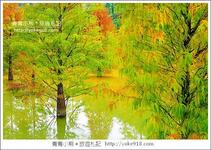 https://imgs.plurk.com/QzR/F2t/BnZV24ygskhGHDsDYlmoGTBo6ym_lg.jpg