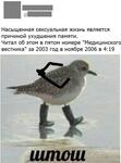 https://imgs.plurk.com/QzR/c7P/QRK5W3RWLBzWiO8olL2u2Xf7tiA_lg.jpg