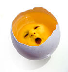 https://imgs.plurk.com/QzS/WMo/fiX9LbDv7qO6IUWjKPidSVkCJbb_lg.jpg
